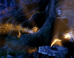 Happy Good Morning GIF by joeyahlbum