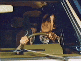 Dogs Driving GIF
