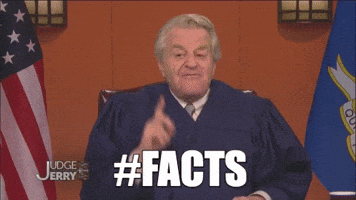 Merry Christmas GIF by The Fact a Day