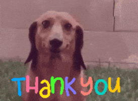 Baby Thank You GIF