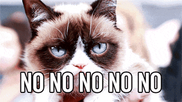 Grumpy Cat Annoyed Face GIF