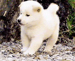 white GIF by hero0fwar