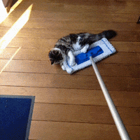 Happy I Love You GIF by Warner Bros. Deutschland