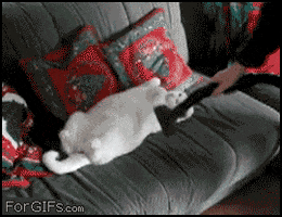 Kisses And Hugs Heart GIF