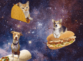 Inspired Good Morning GIF by BrittDoesDesign