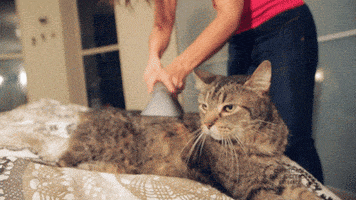 Happy Birthday GIF by Kevin Ross
