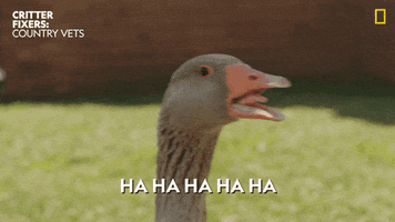 Luv Ya I Love You GIF by KINO