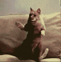Happy Love You GIF by Simian Reflux