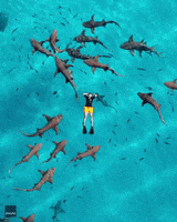 Sweet Dreams GIF