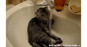 Happy Birthday GIF by Rodney Dangerfield