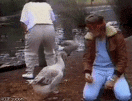 Happy Birthday GIF by Rodney Dangerfield