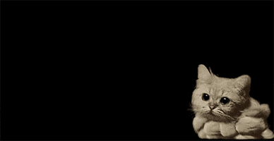 Its Been A Long Time Waiting GIF