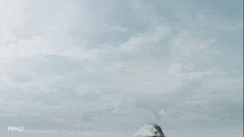 Great White Shark Water GIF by Shark Week