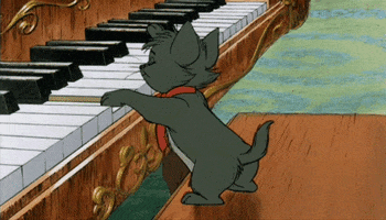 Cat GIF