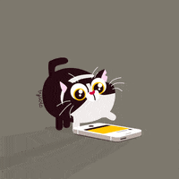 Sport Ncaa GIF by UCF Knights