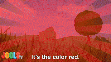 Limited Edition Wtf GIF by XCOPY