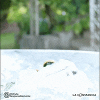 Atr Juntada GIF by Dr Lemon