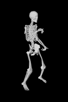 Dance Dancing GIF