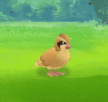 pokemon go GIF