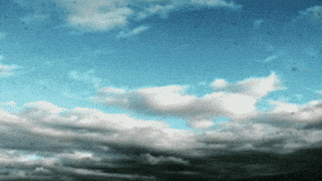 Nice Day Flowers GIF by Daisy Lemon