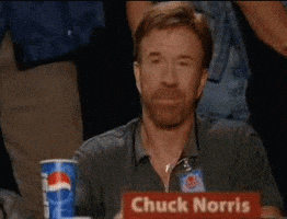 chuck norris approved GIF