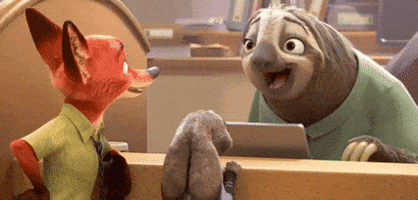 sloth meet GIF