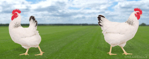 Happy Birthday GIF