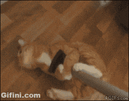 I Love You Valentine GIF by megan lockhart