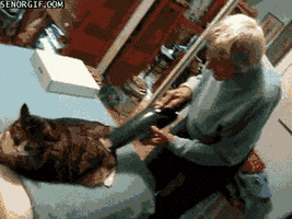 Happy Big Brother GIF by MOODMAN
