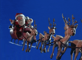 Merry Christmas GIF by INTO ACTION