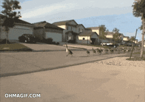 Good Morning Coffee GIF by Soilbandit