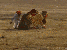 Bless Happy Sunday GIF by GIPHY Studios 2021
