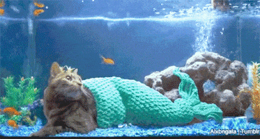 Snoop Dogg Weed GIF