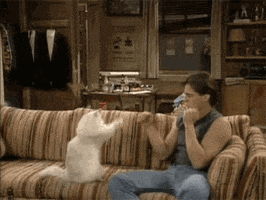 Recording Major League Baseball GIF by MLB