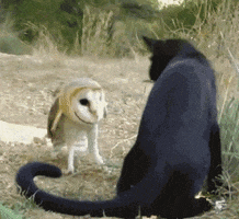 Tired Good Night GIF by Holler Studios