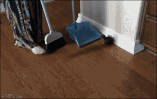 Roast Turkey Cooking GIF by Julia Child