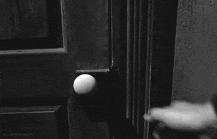 Scooby Doo Halloween GIF