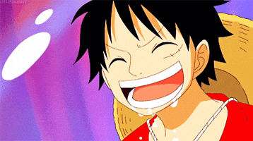 One Piece GIF by Toei Animation
