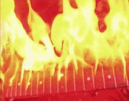 Ashton Kutcher Burn GIF