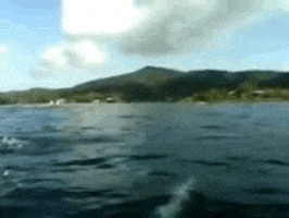 Rainbow You Are Gay GIF