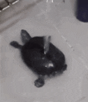 Tired Good Night GIF by irina H