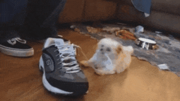 San Antonio Spurs Basketball GIF by NBA