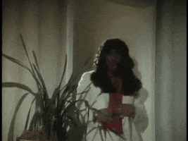 Happy Birthday GIF by Tim Robinson