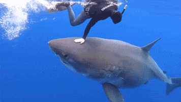 Good Morning Smile GIF