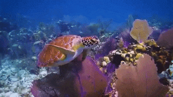 Sad Happy Hour GIF
