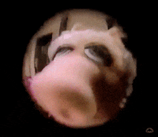 Creighton Bluejays Please GIF by NCAA March Madness
