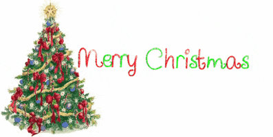 Merry Christmas Love GIF by Red and Howling