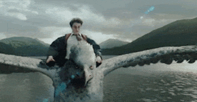 Chewing Gum Zoo GIF by Storyful