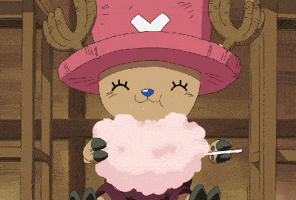 Mad One Piece GIF by Toei Animation
