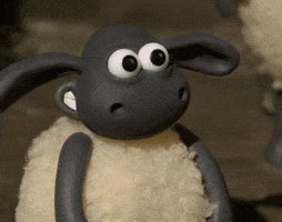 Jim Carrey Ok GIF